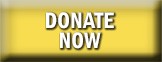 donate-now-button1